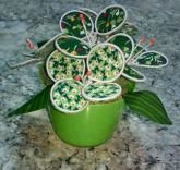 vasinhos de flores (02)